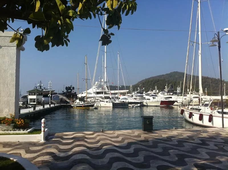 Skopea Marina - 01K1X50RX8DGV56Y8EW6A0Q2QK.webp